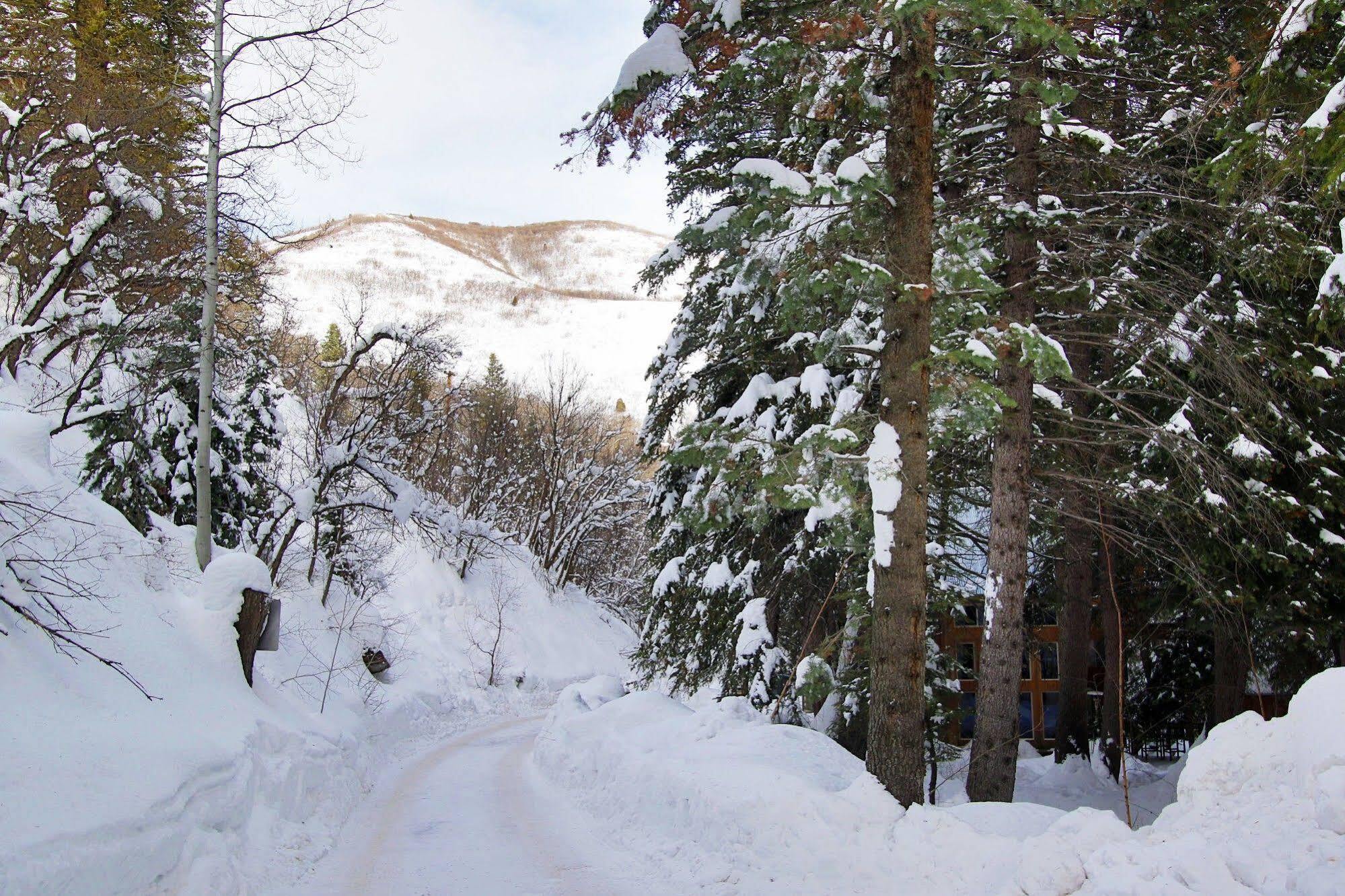 Sundance Log Cabin On The Stream מראה חיצוני תמונה